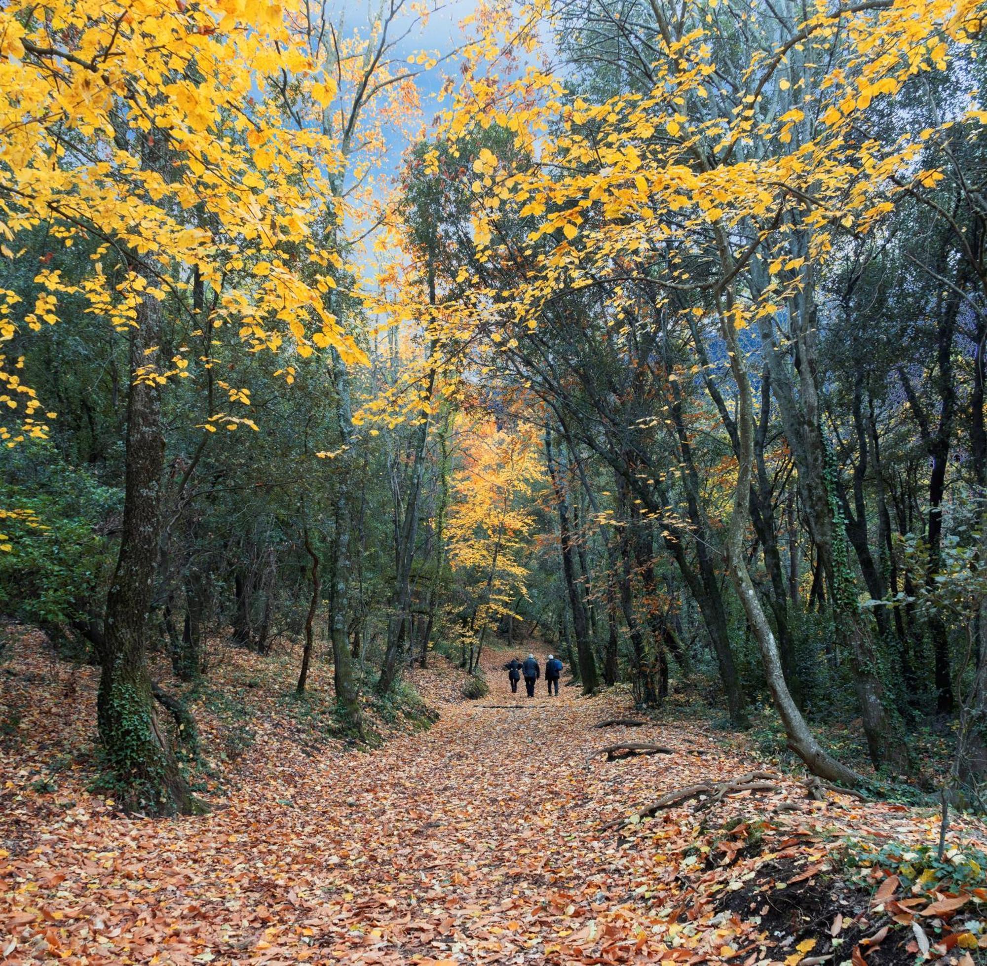 Mas Can Calet Aparthotel Les Franqueses del Valles ภายนอก รูปภาพ